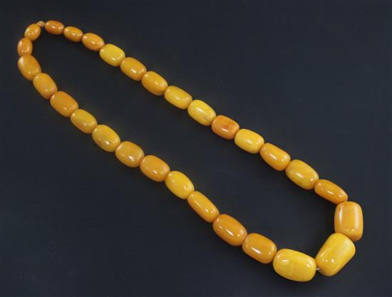A single strand graduated oval amber bead necklace, 23in.